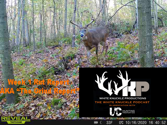 WKP # 140 WEEK 1 OF "THE GRIND" REPORT