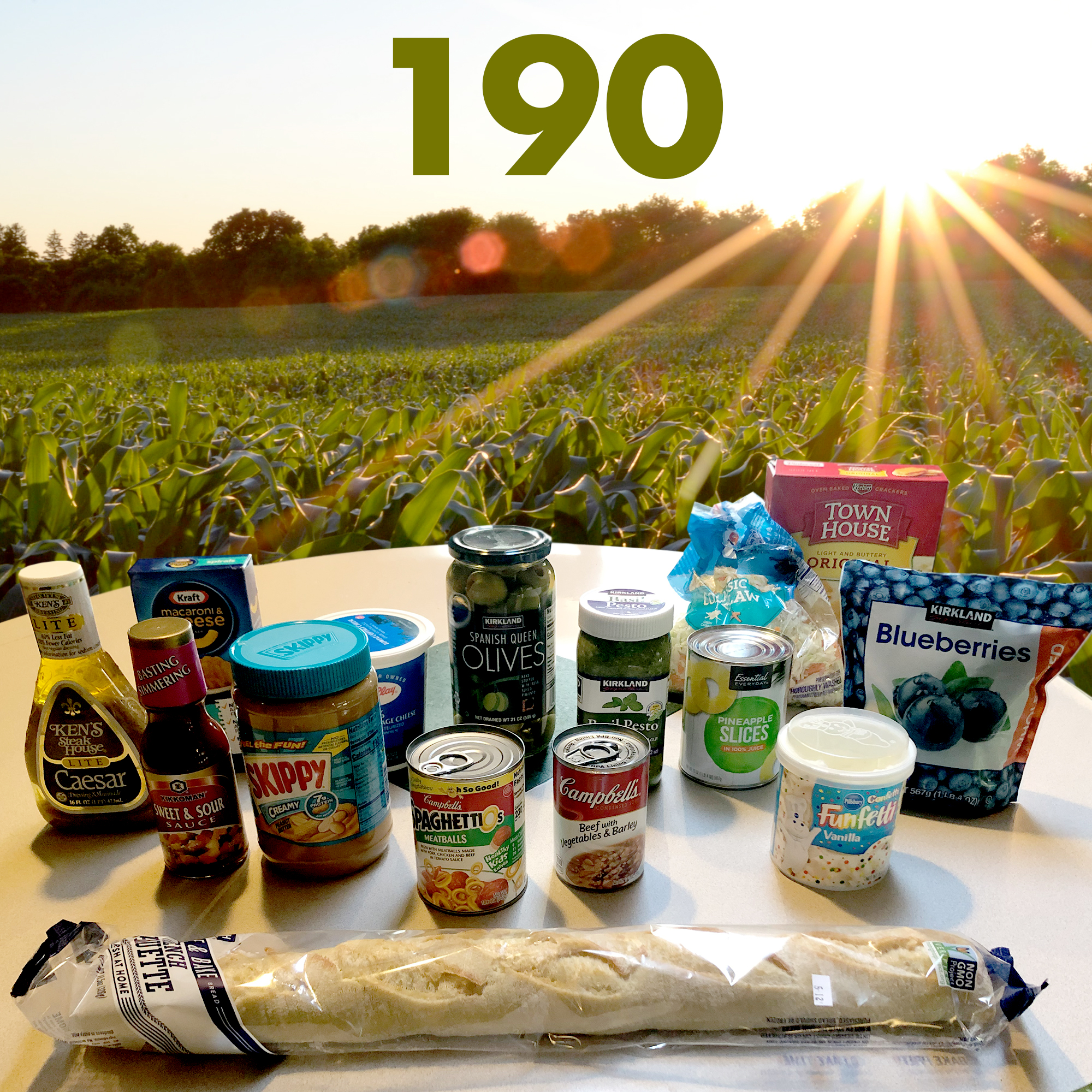 #190: Megan Myrdal - Simple Staples & Sourdough Starters