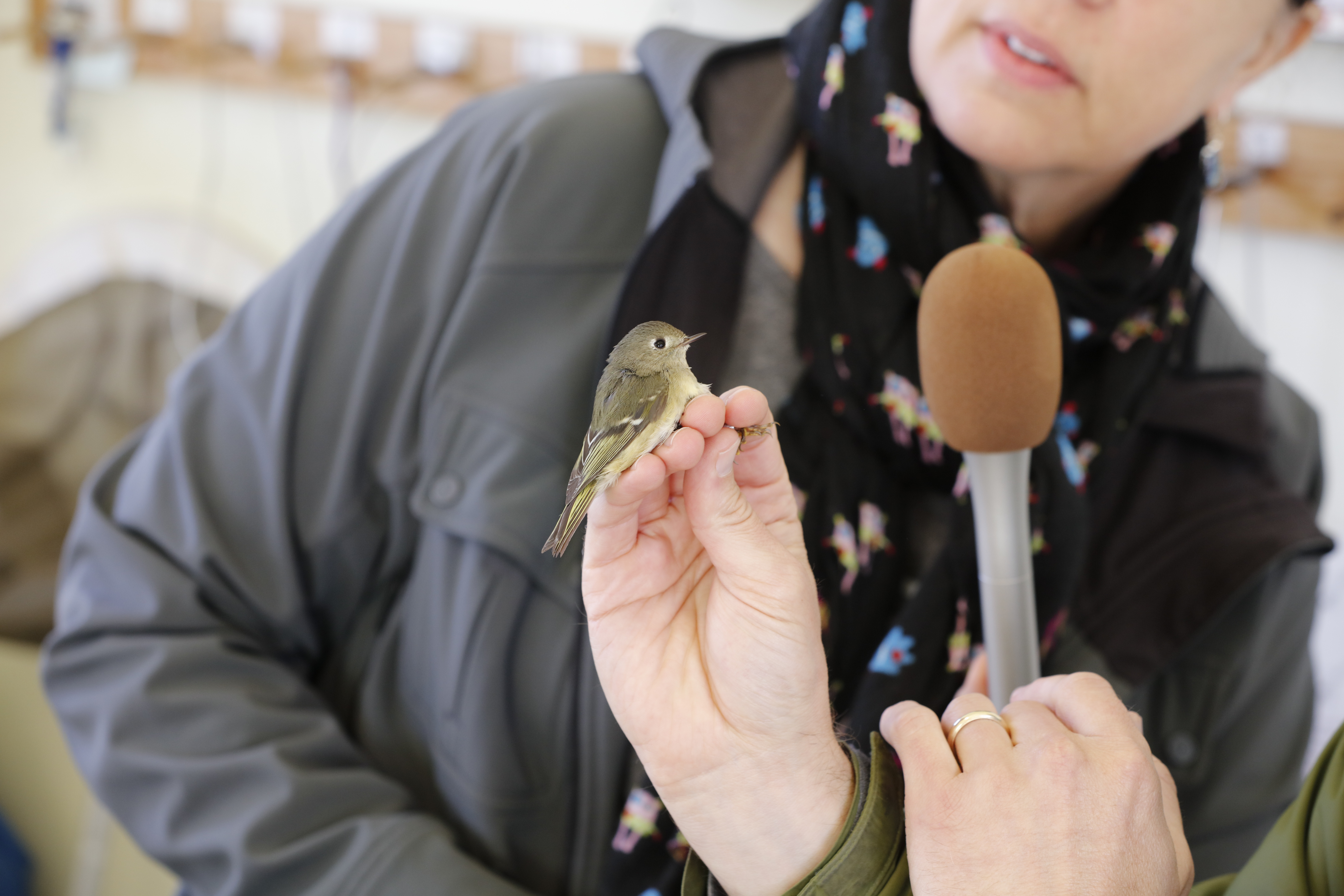 BeProvided Conservation Radio Podcast
