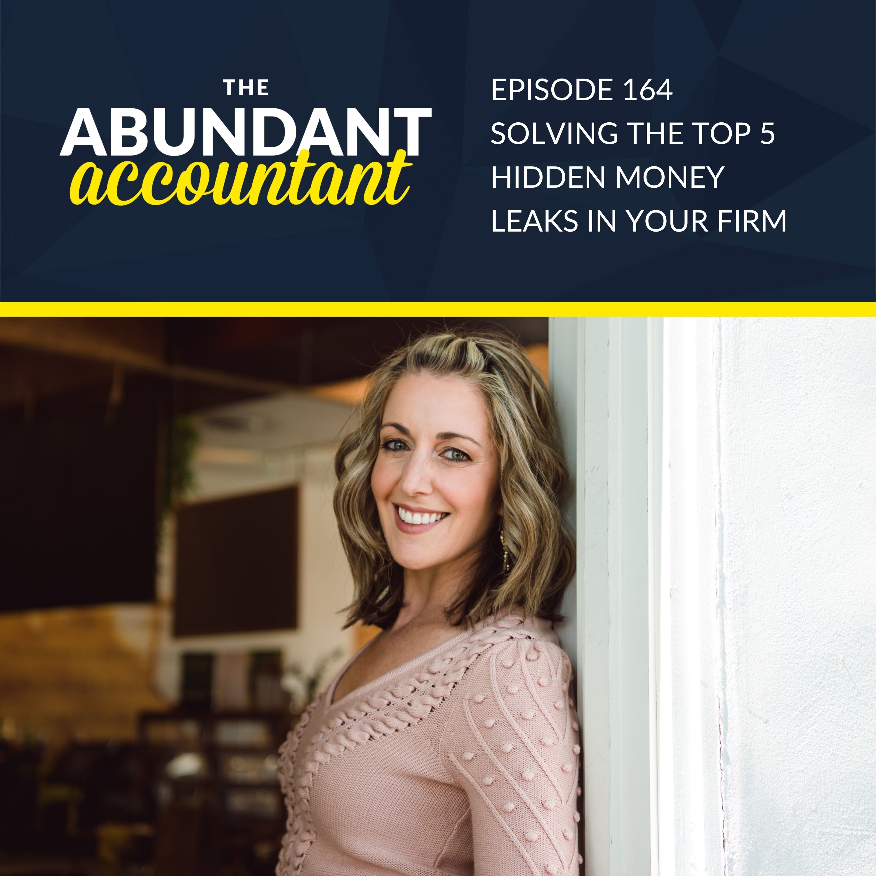 The Abundant Accountant: Leads, Sales & Business Growth for Accounting, Tax and Bookkeeping Professionals