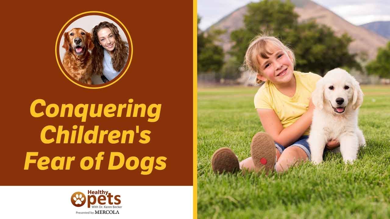 Stefani Cohen Discusses Her Fear of Dogs with Dr. Becker
