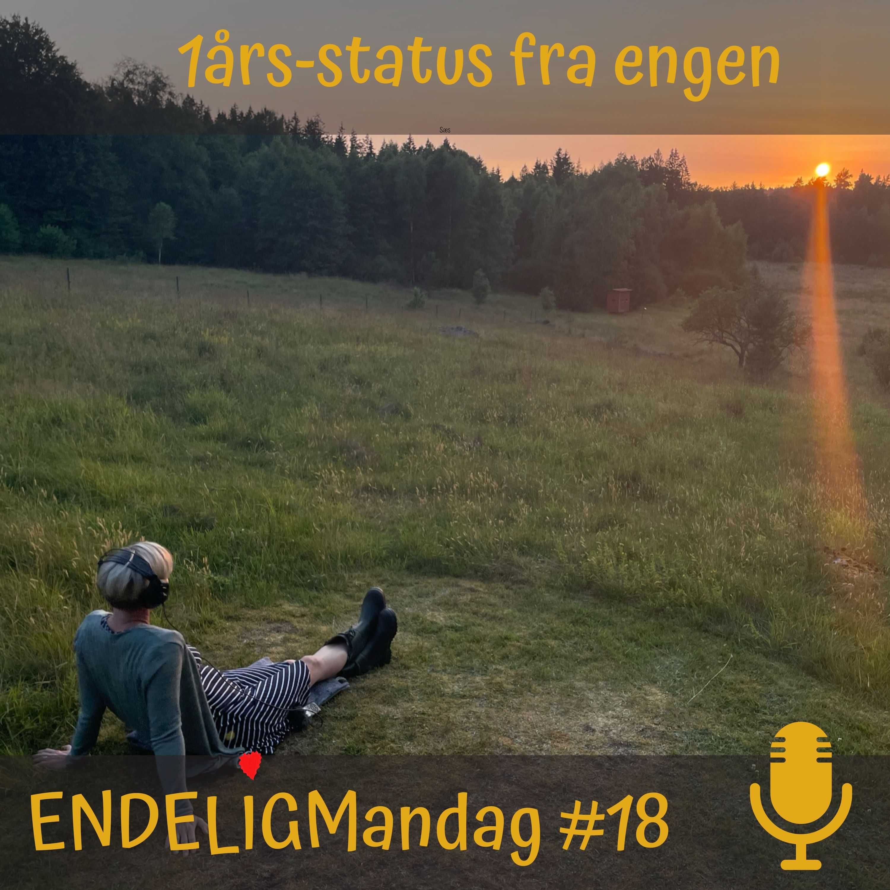 Endelig Mandag - inspiration til bevidste arbejdsliv