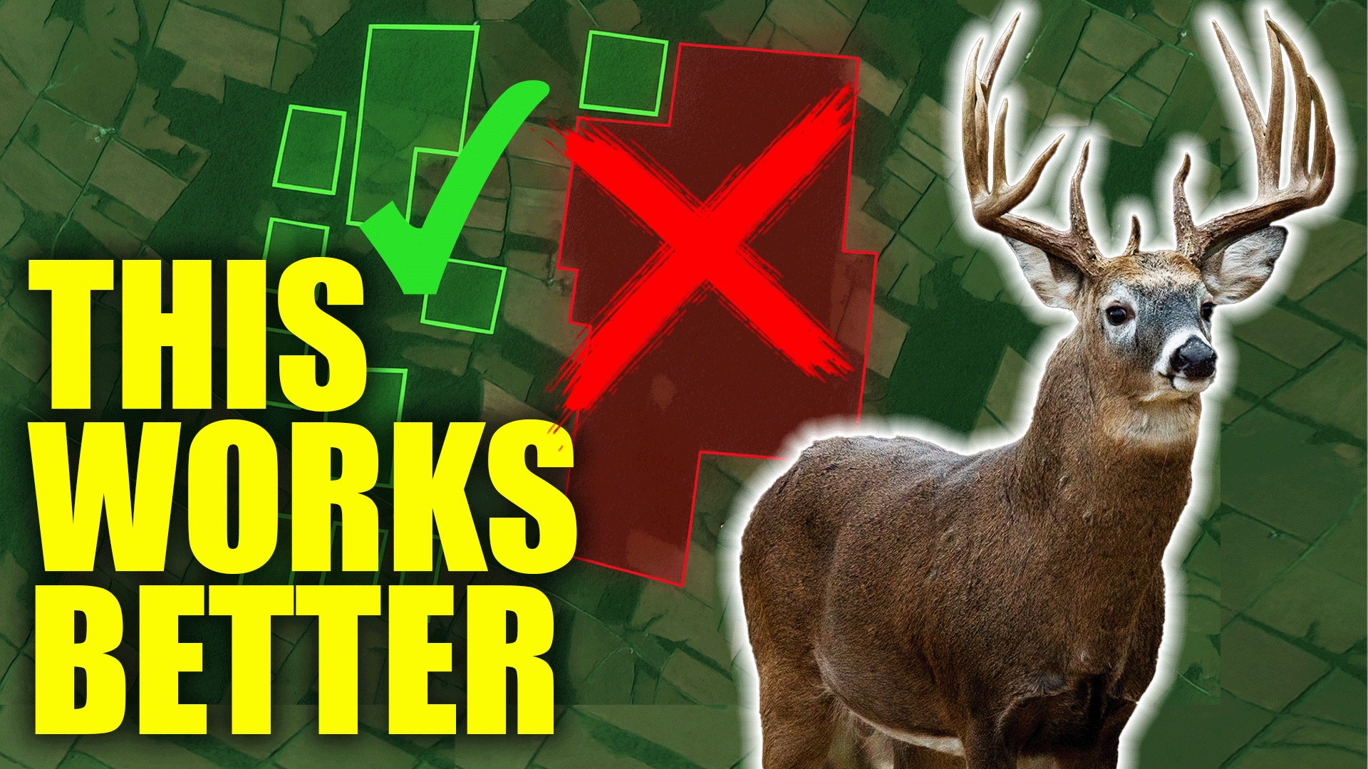 The WHTL Podcast - Whitetail Deer Hunting Tactics, Stories & Expert Guests