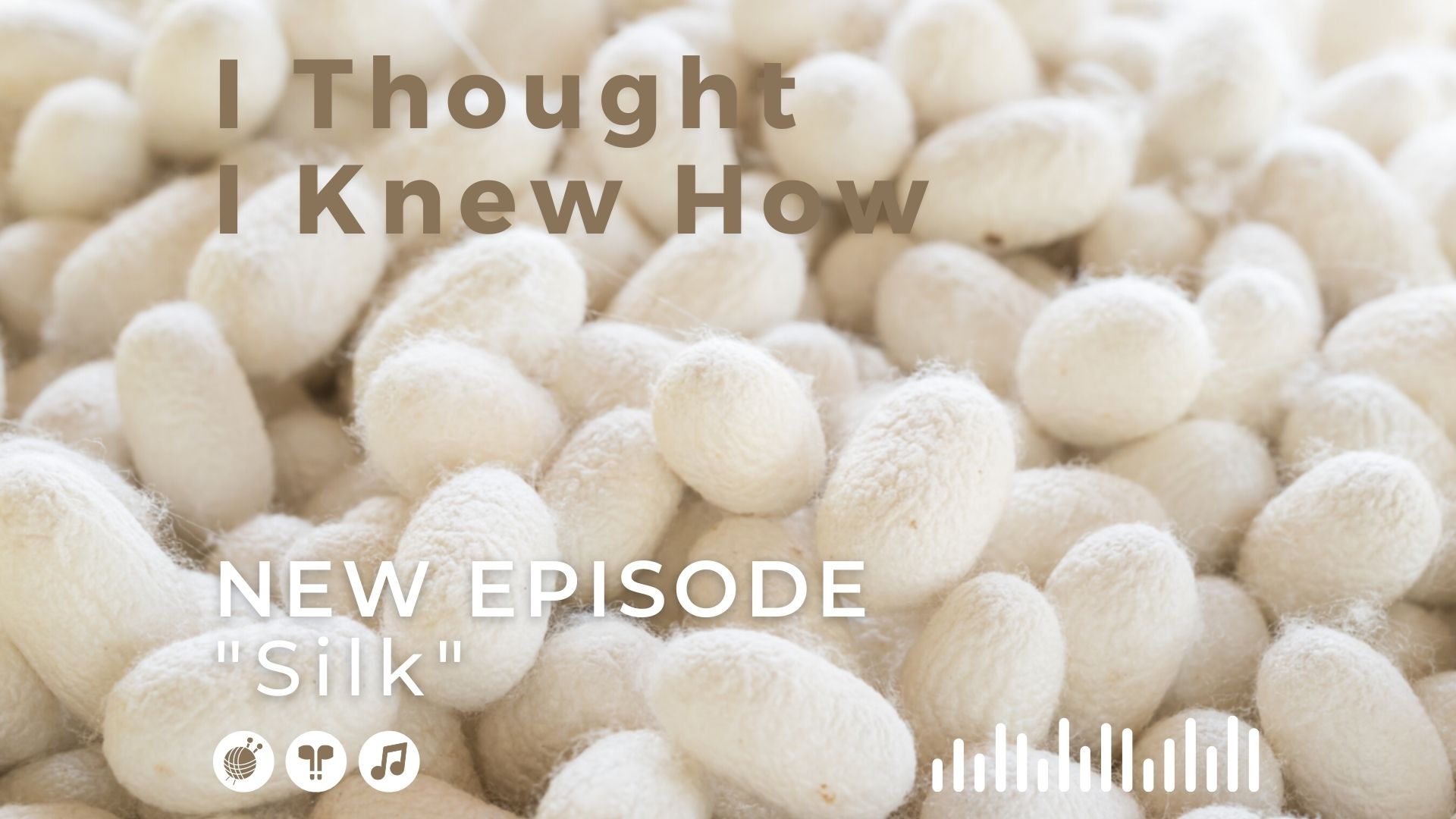 I Thought I Knew How: A Podcast about Knitting and Life