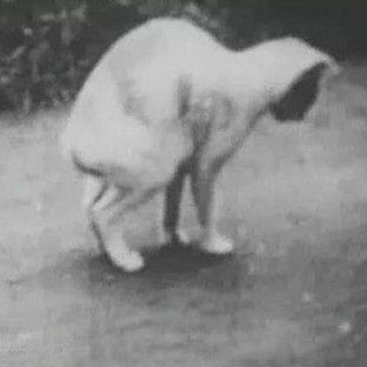 #109 - Minamata Disease (Part 2) #109 - Minamata Disease (Part 2)