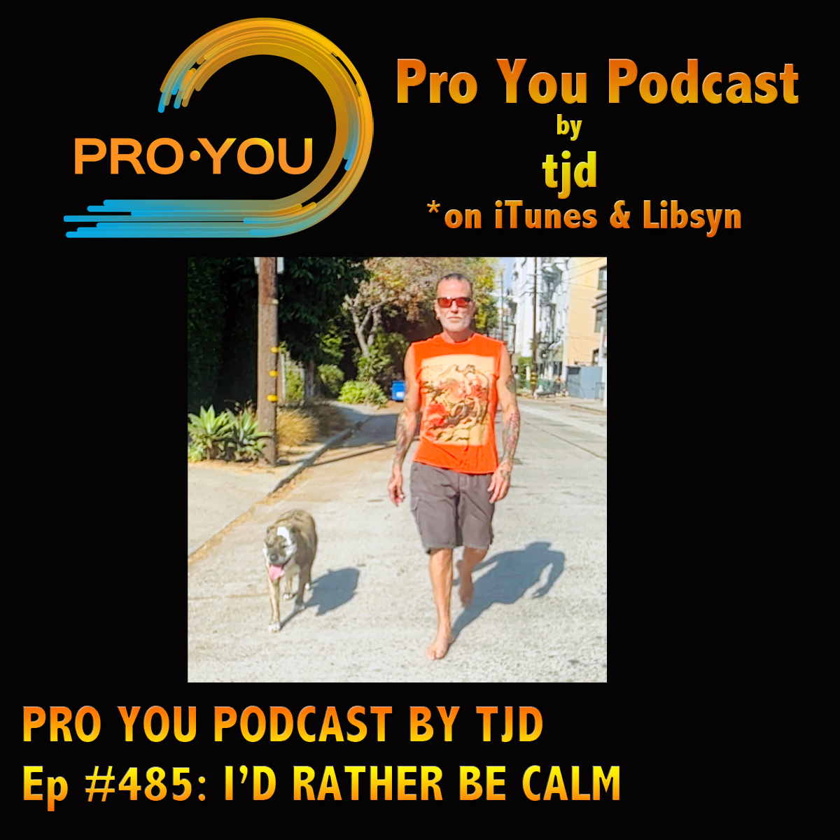 #485 I'd Rather Be Calm.