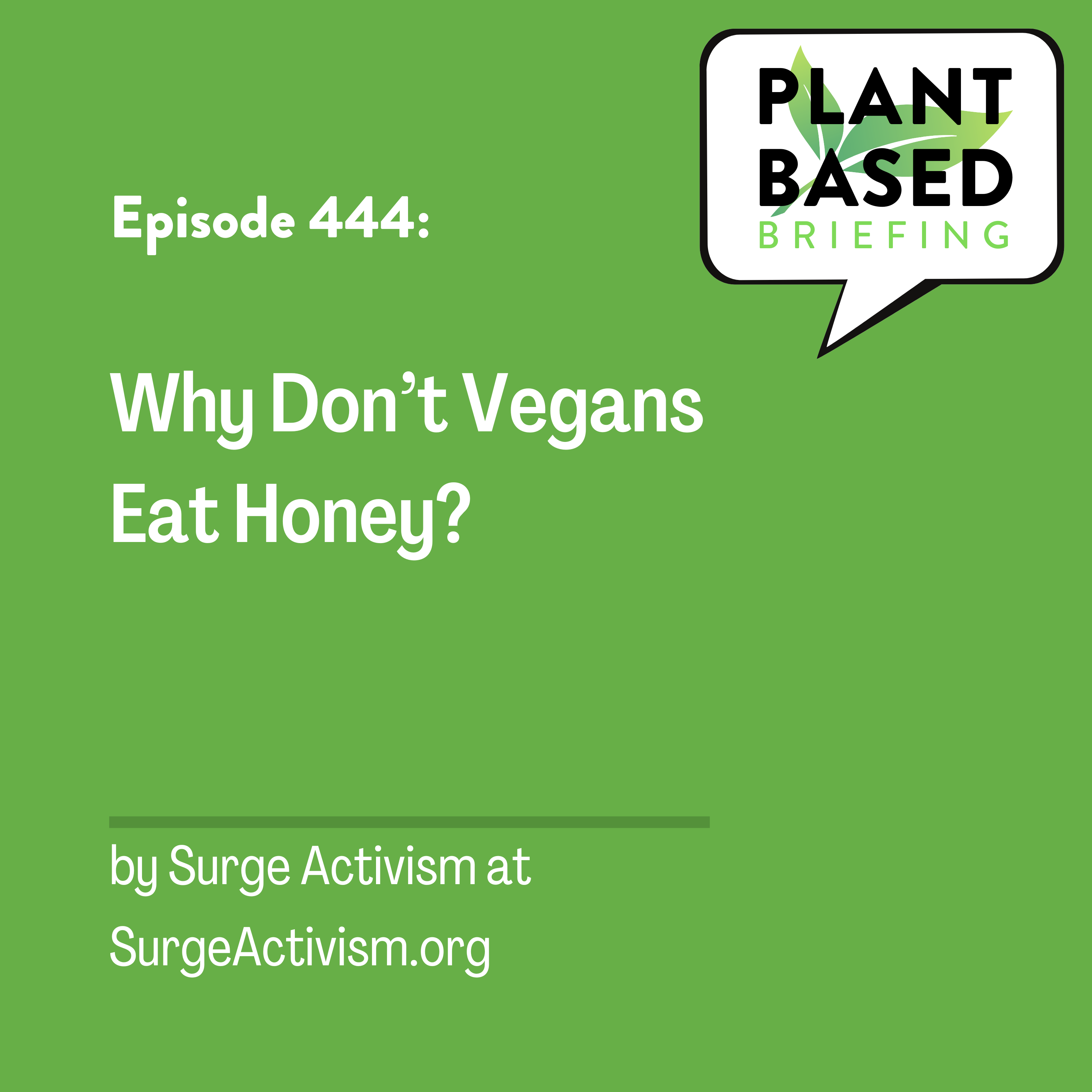 444: Why Don’t Vegans Eat Honey? From SurgeActivism.org