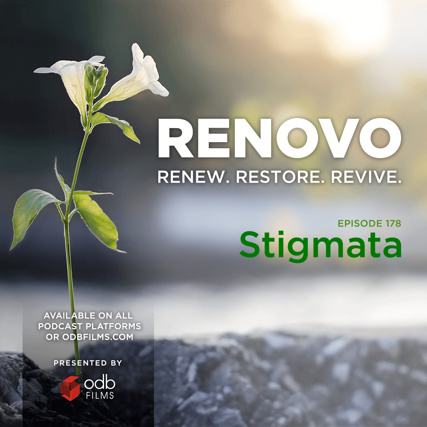 Renovo Podcast
