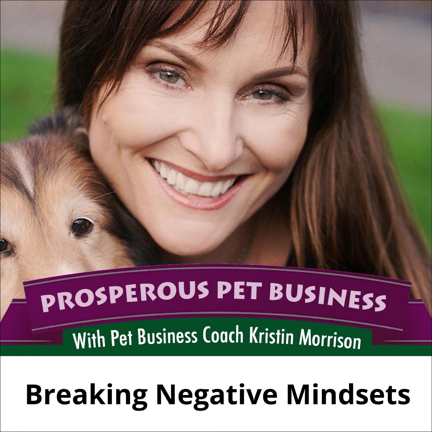 Prosperous Pet Business