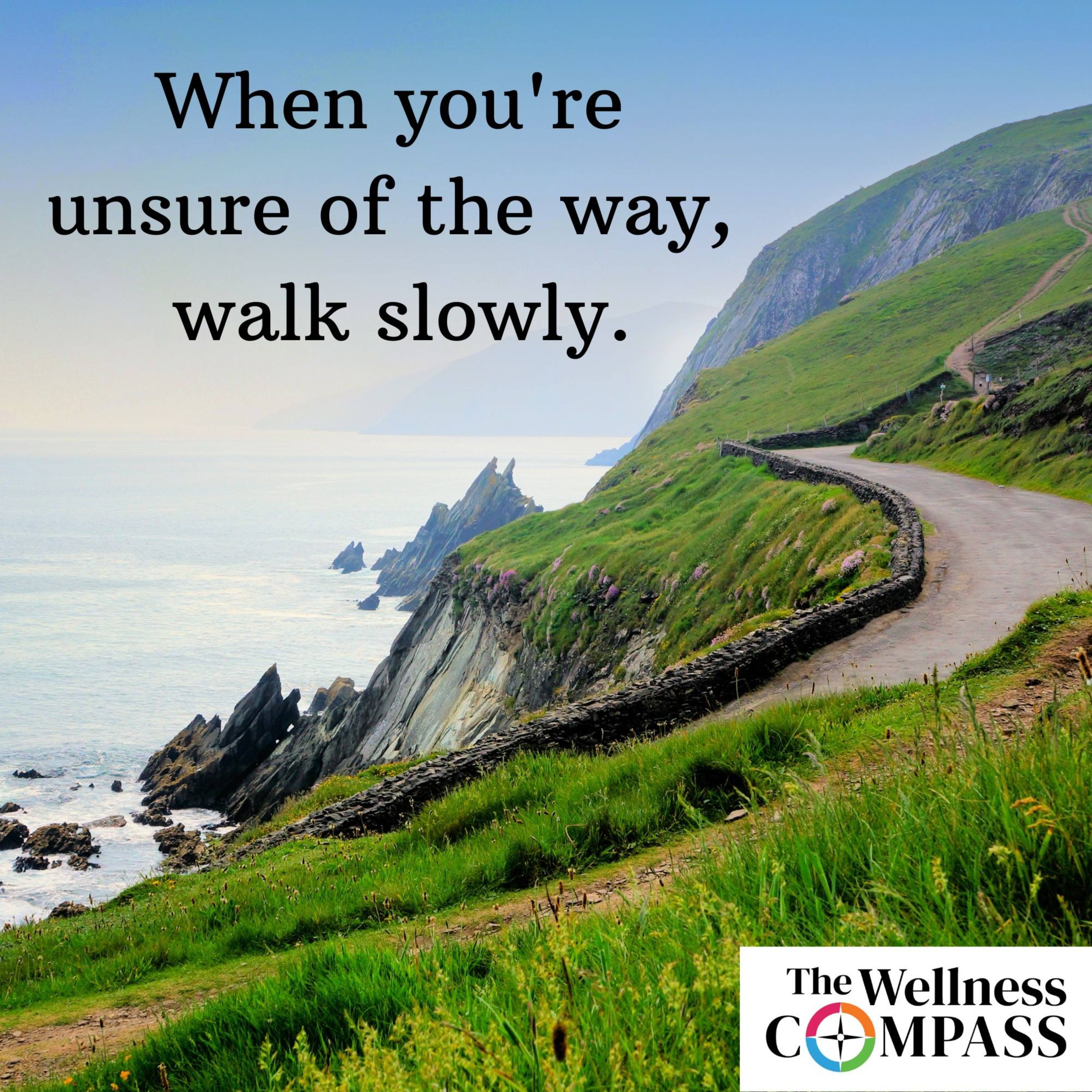 The Wellness Compass Podcast