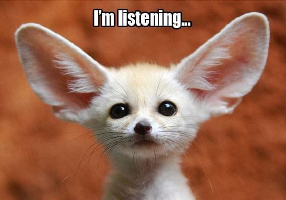 5 Tips to Listening Better