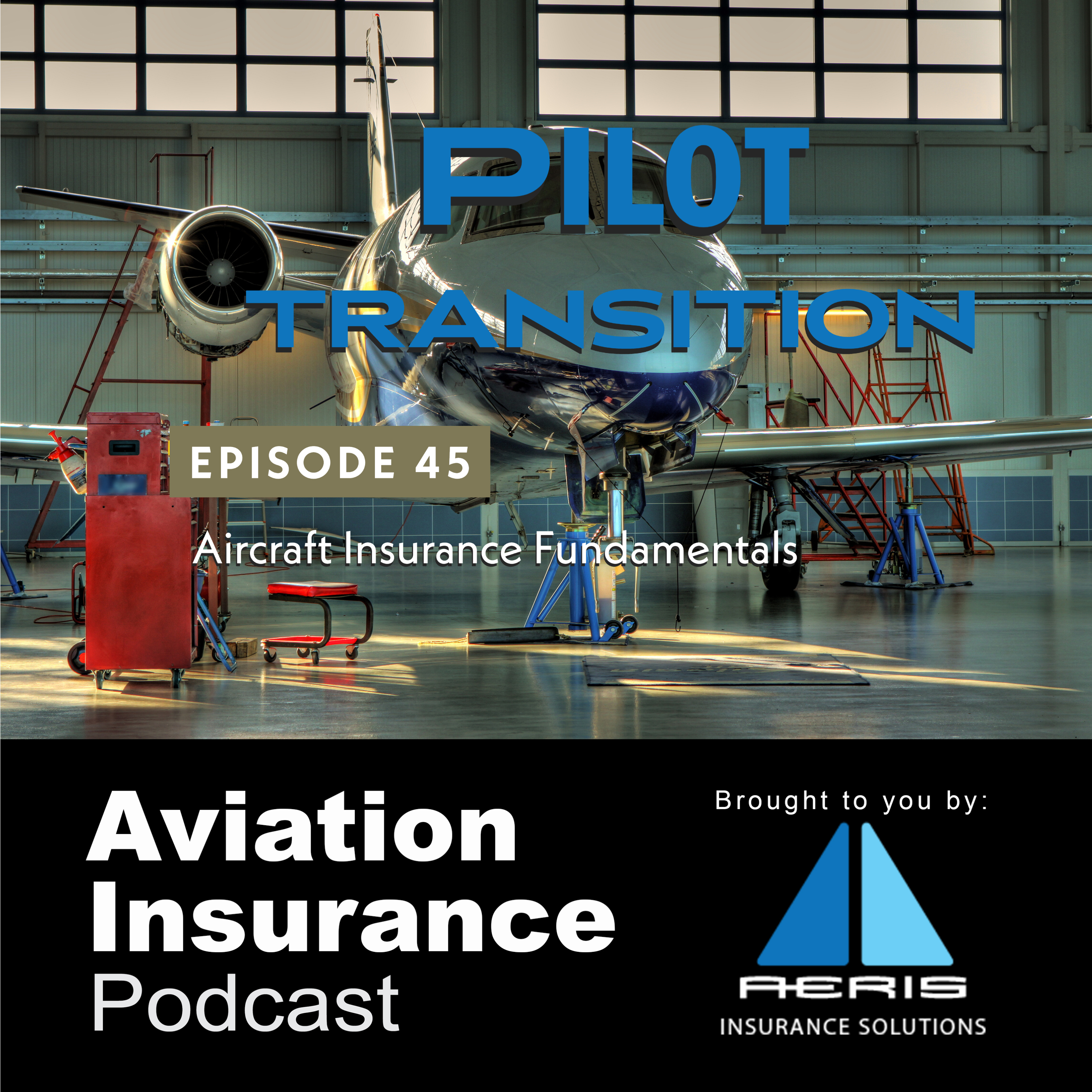 Episode 45: Pilot Transitions