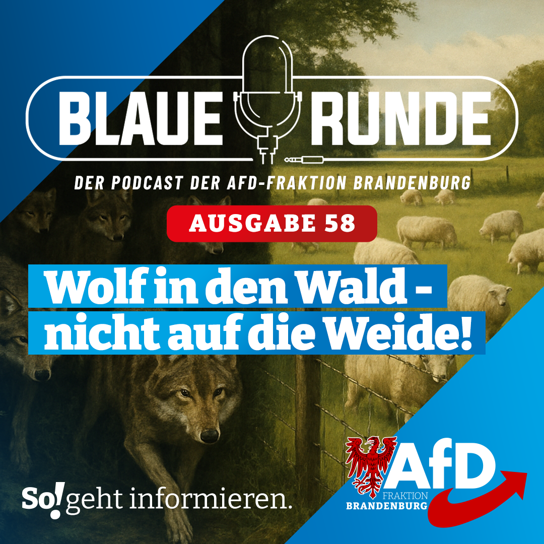Wolf in den Wald – nicht auf die Weide! | Die Blaue Runde, Ausgabe 58/25 vom 09. November 2025