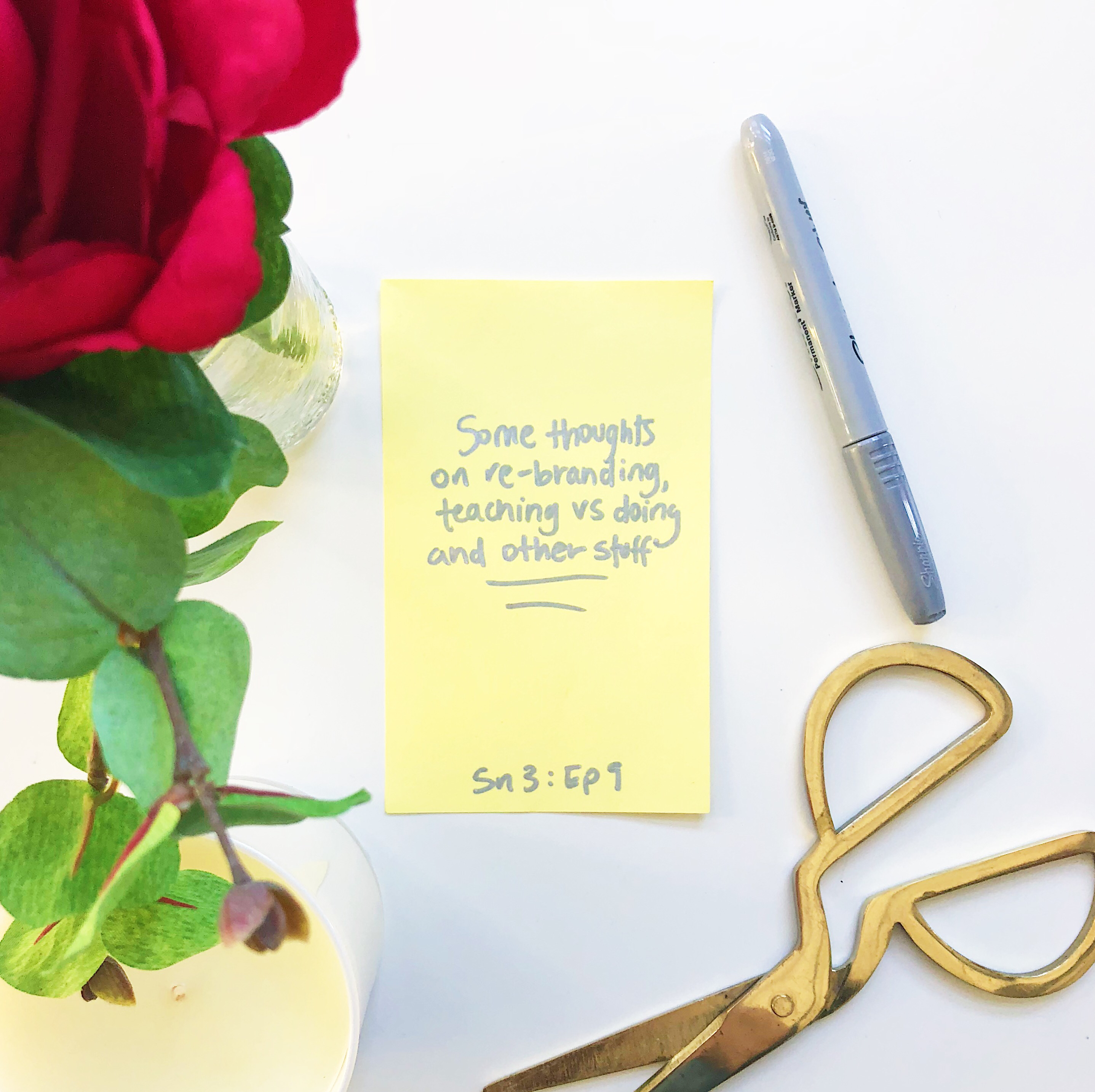 S3:09 - Some Thoughts on Re-branding, Teaching vs Doing, and Other Stuff!