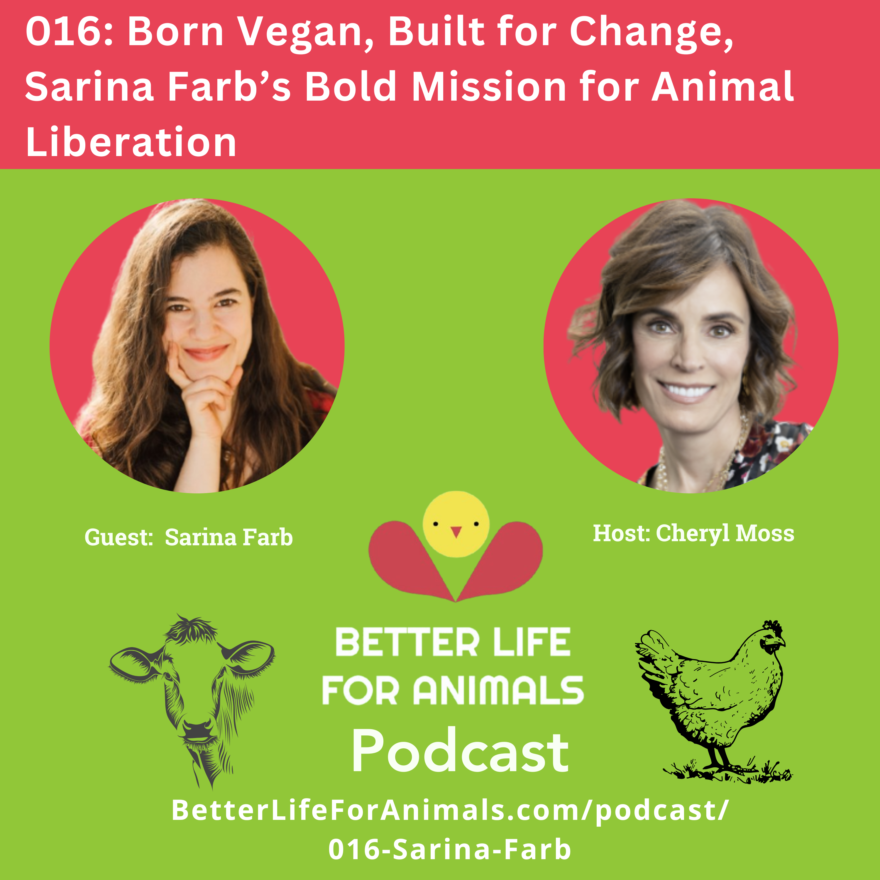 Better Life for Animals