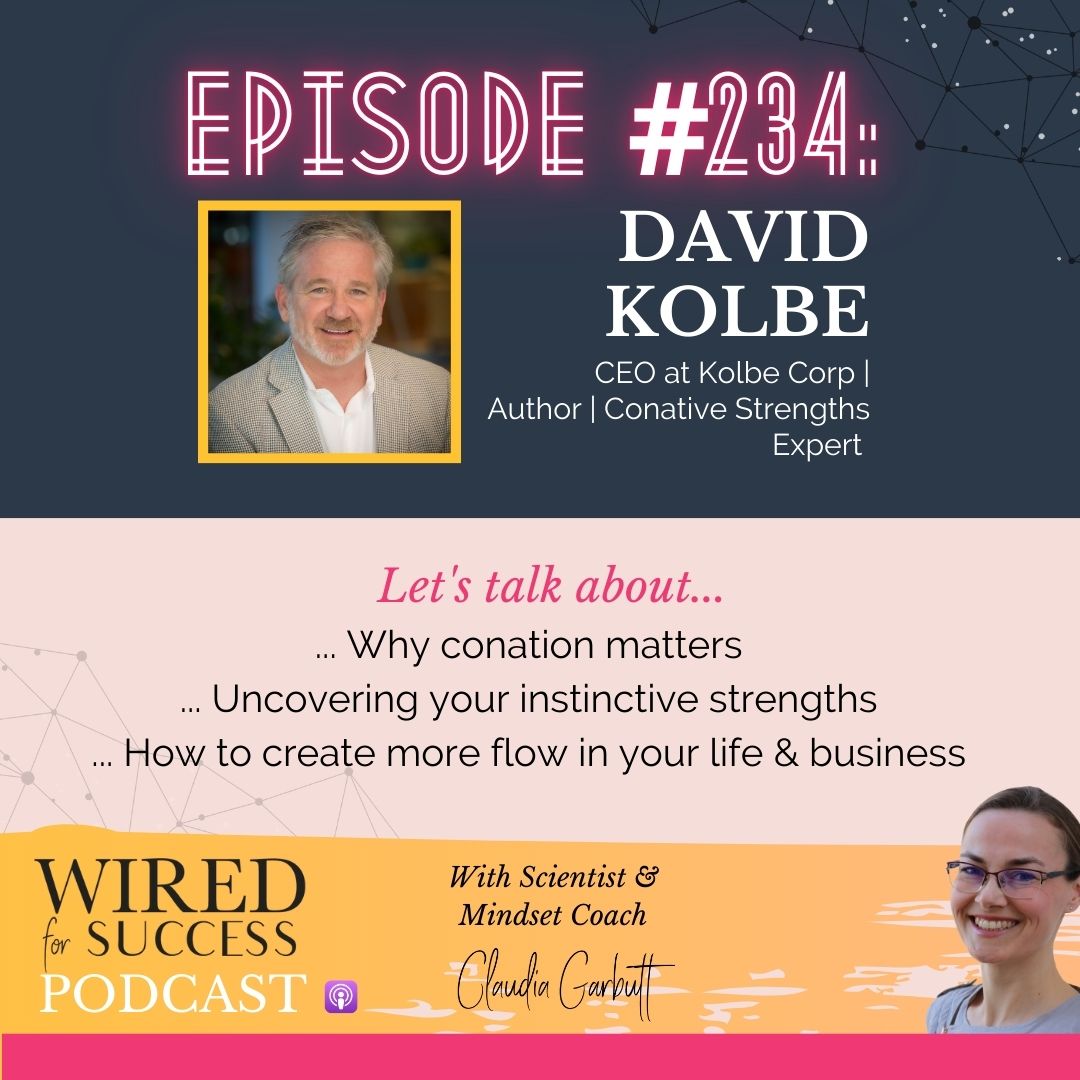 Unlocking Your Instincts: David Kolbe on Conation, Flow, and Human Performance | Episode 234