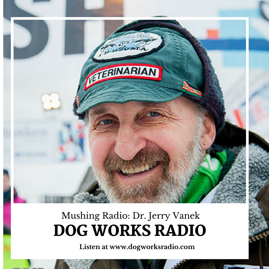 Mushing Radio: Dr. Jerry Vanek, DVM