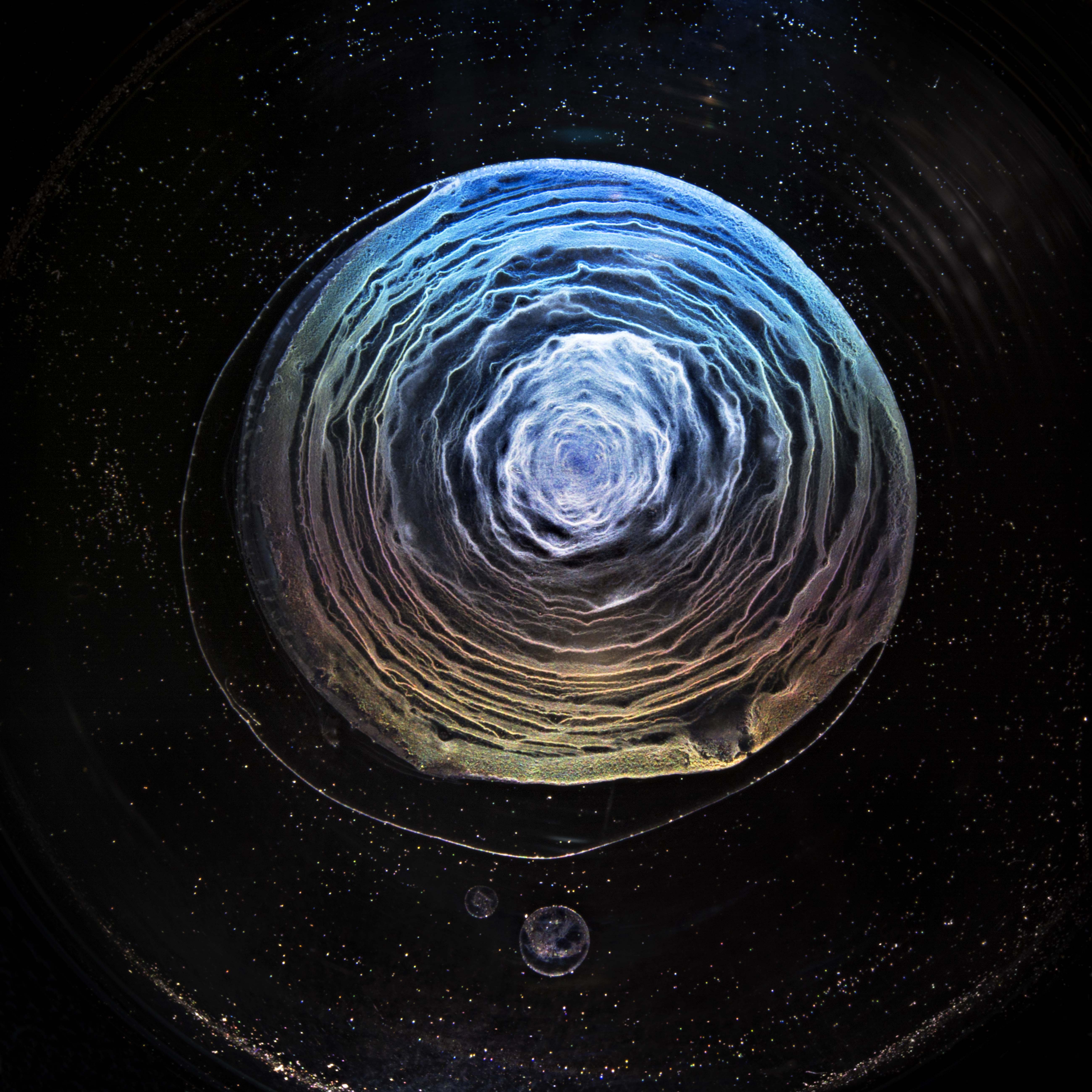 Episode 232 - Vanishing Spirits: The Art of Whisky with Ernie Button