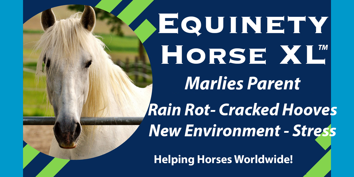 Team Equinety Podcast