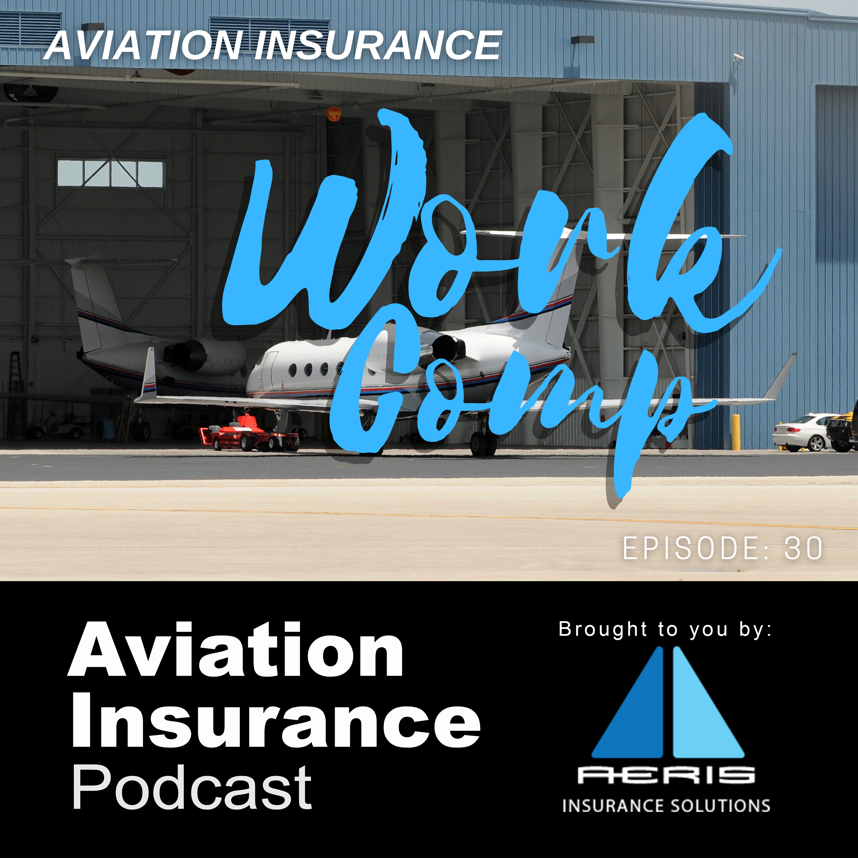 Episode 30: Workers Compensation
