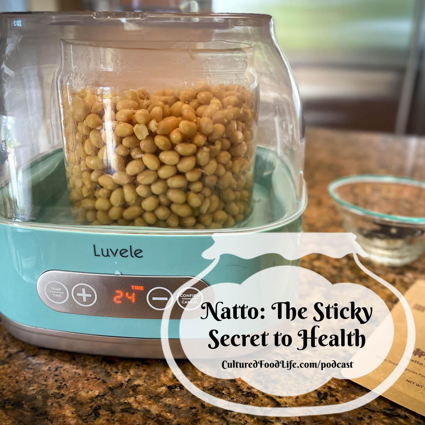 Episode 314: Natto: The Sticky Secret to Health