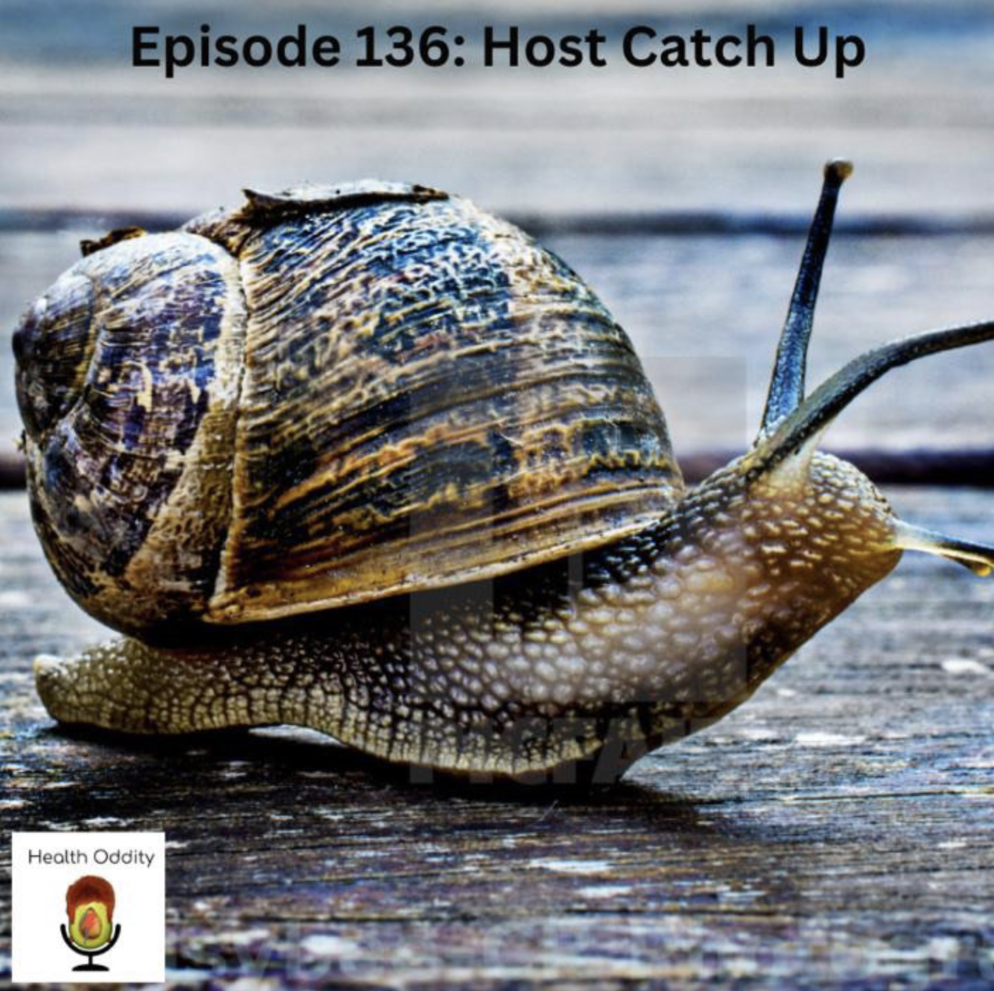 #136 Host Catch Up