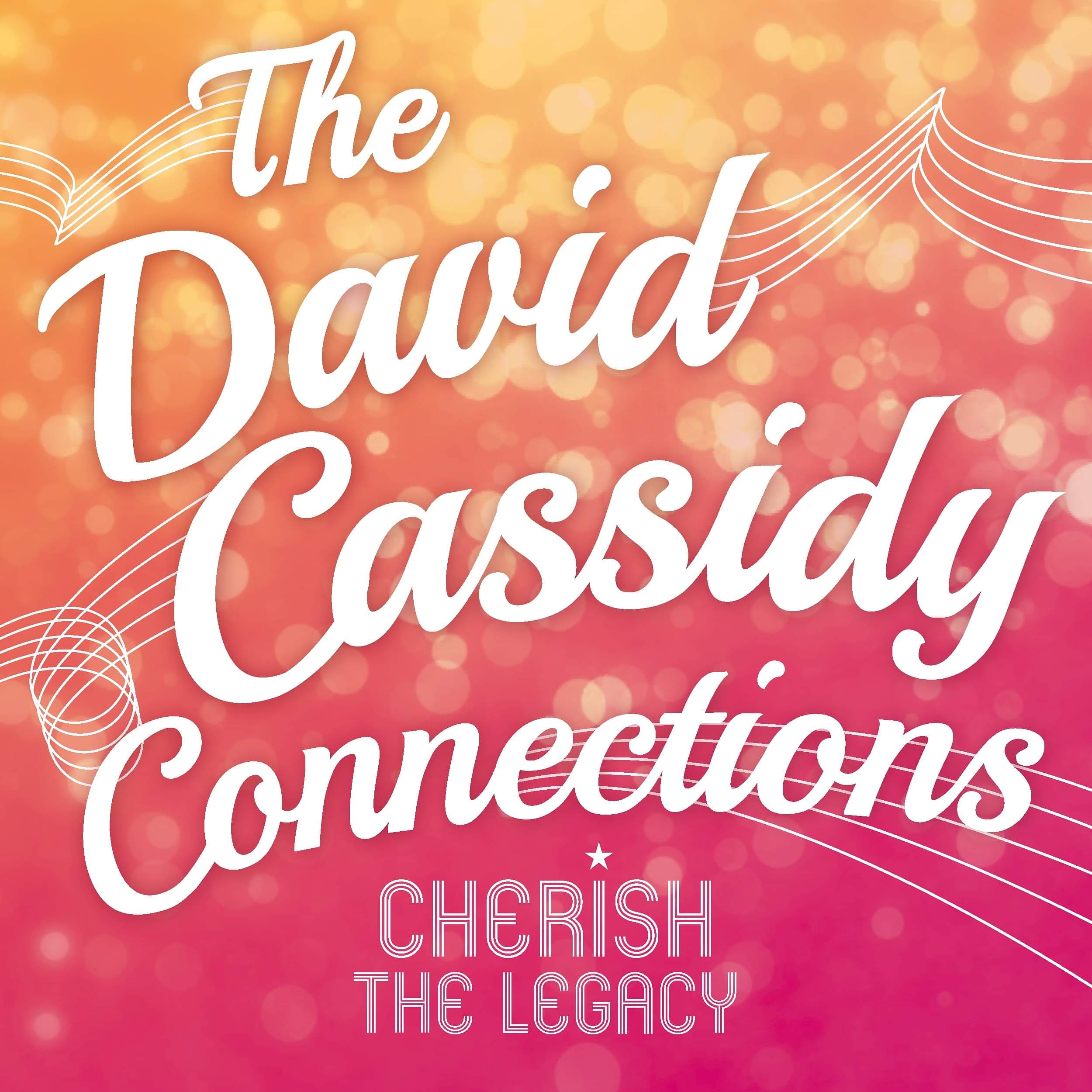 The David Cassidy Connections