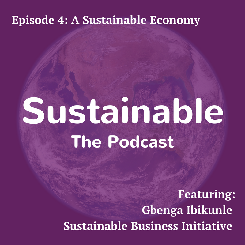 4: A Sustainable Economy - Gbenga Ibikunle, Sustinable Business Initiative