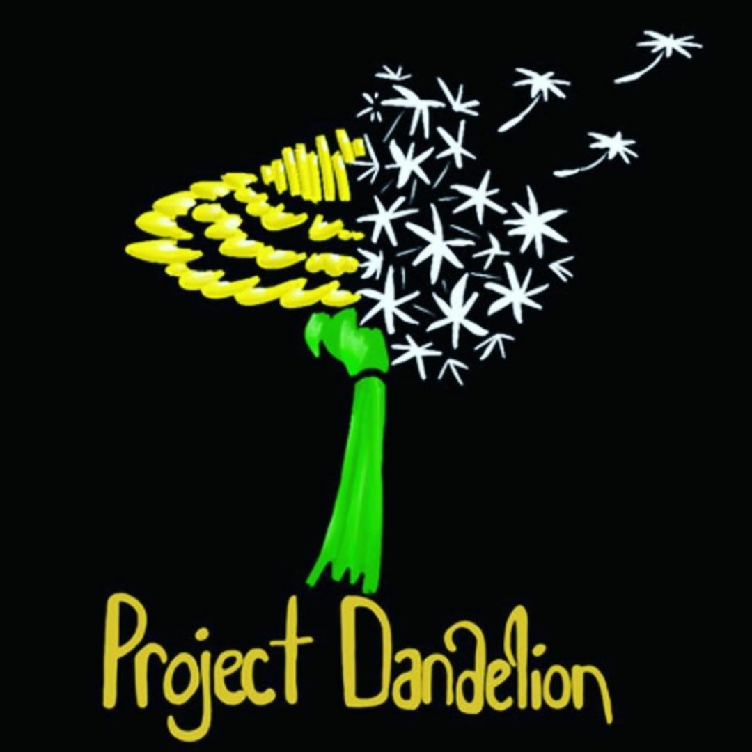 Hearts Of Gold - Reflections from Gold Award Girl Scouts