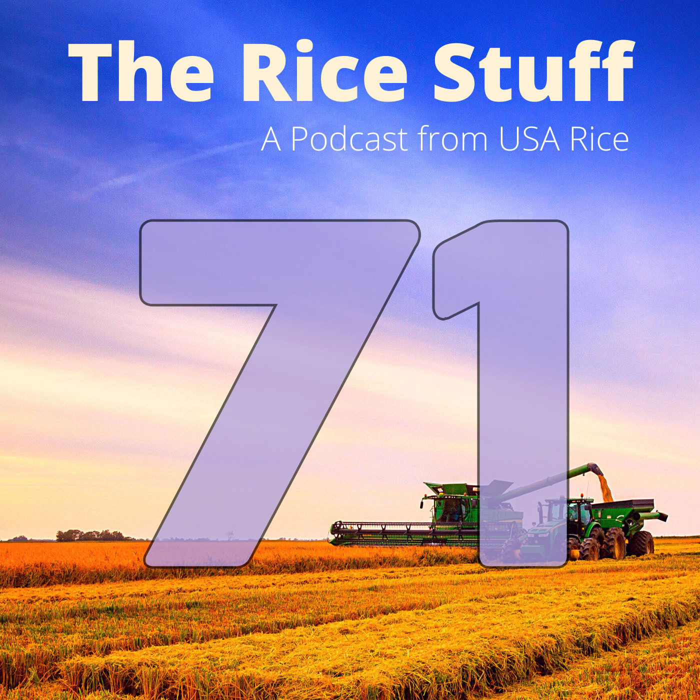 The Rice Stuff