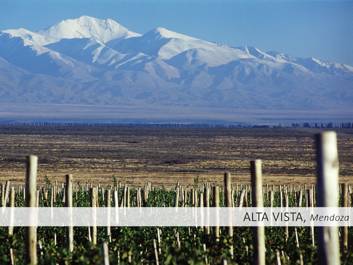 Kobrand Sips & Selling Tips