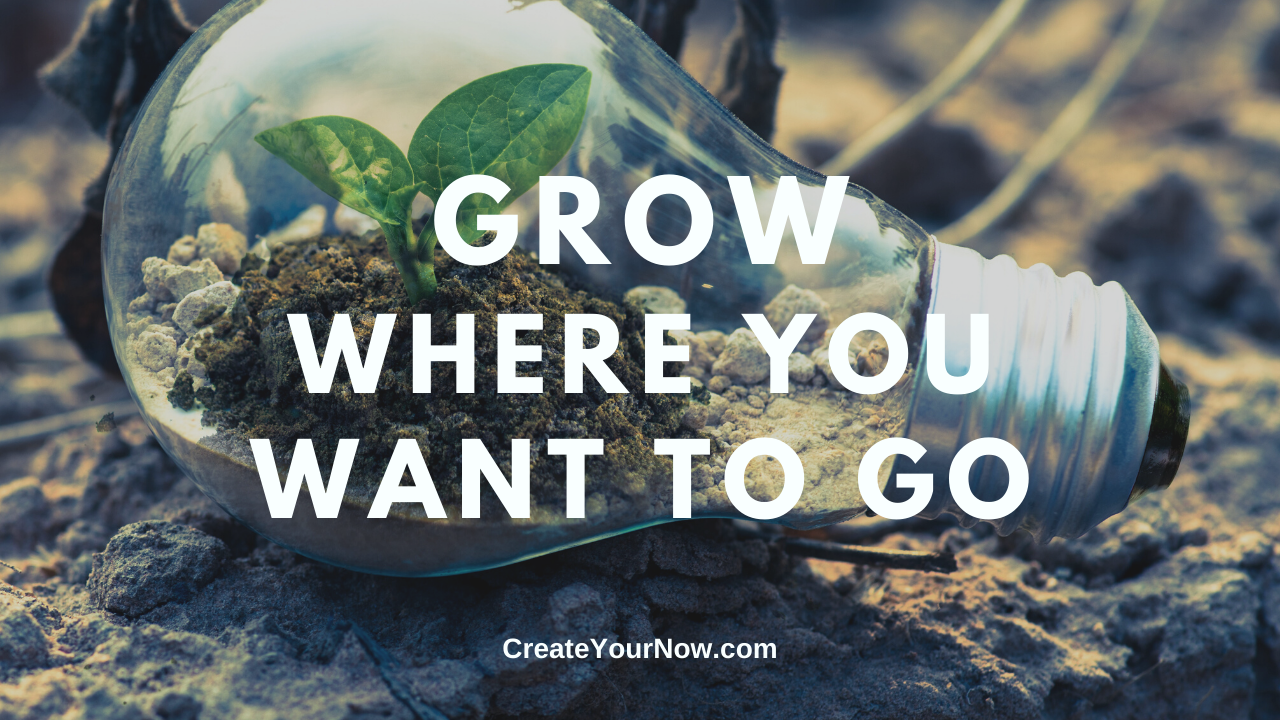 2005 Grow Where You Want to Go