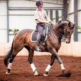 0728: Tim Calkin LC - You Don't Have to Have a Superstar to Have a Lot of Fun on a Horse (Listeners' Choice)