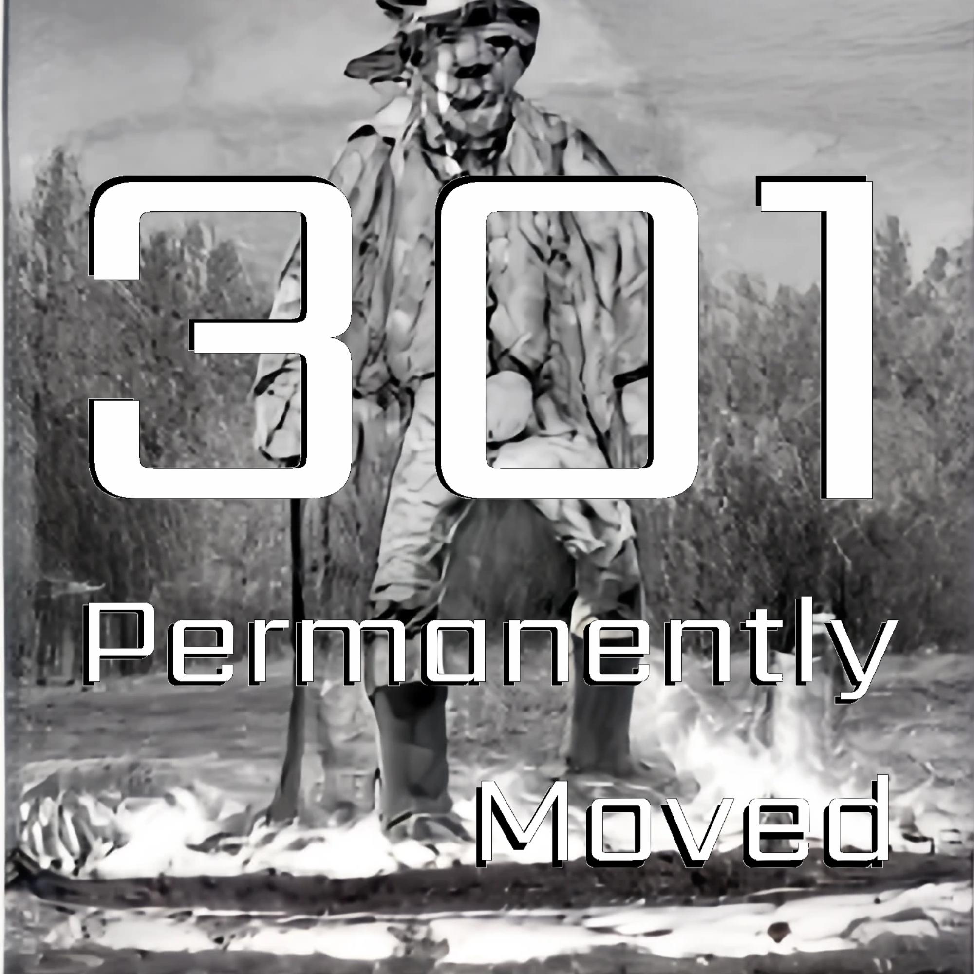 Permanently Moved
