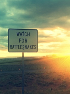 cover of episode Rattle Snake Land.