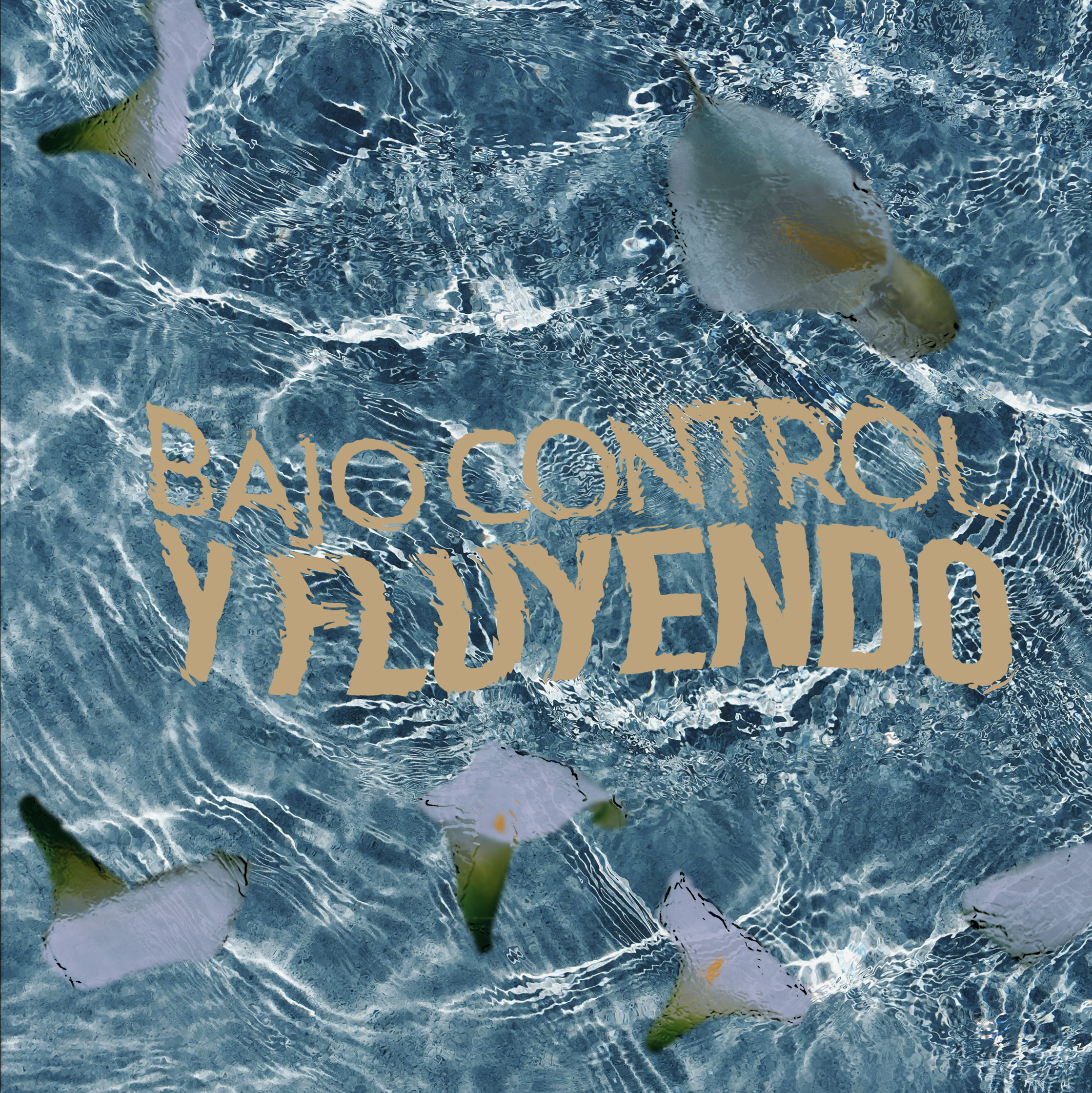 Bajo Control Y Fluyendo