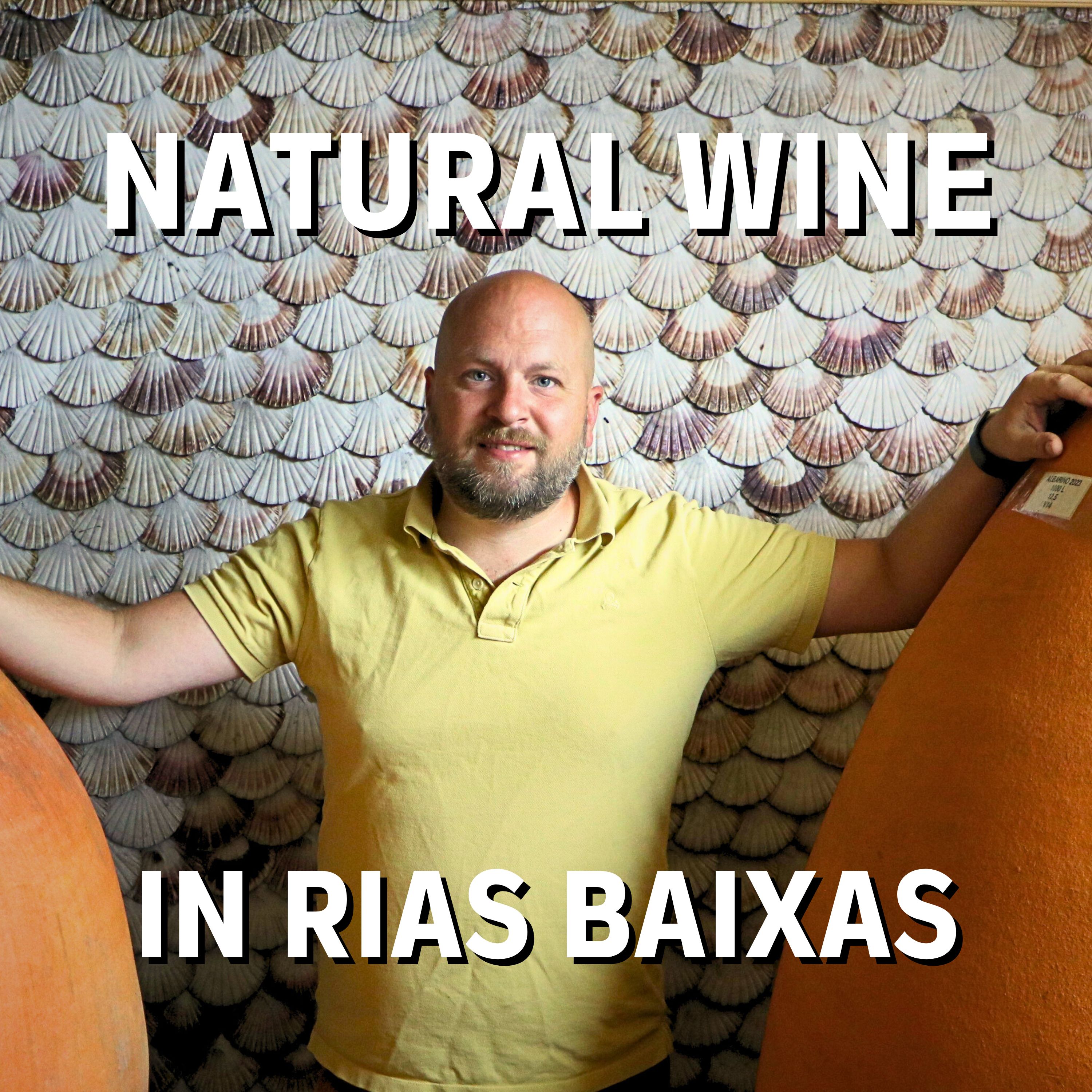 Understanding Wine with Austin Beeman | Video | Wine Country Travel | Wine Life