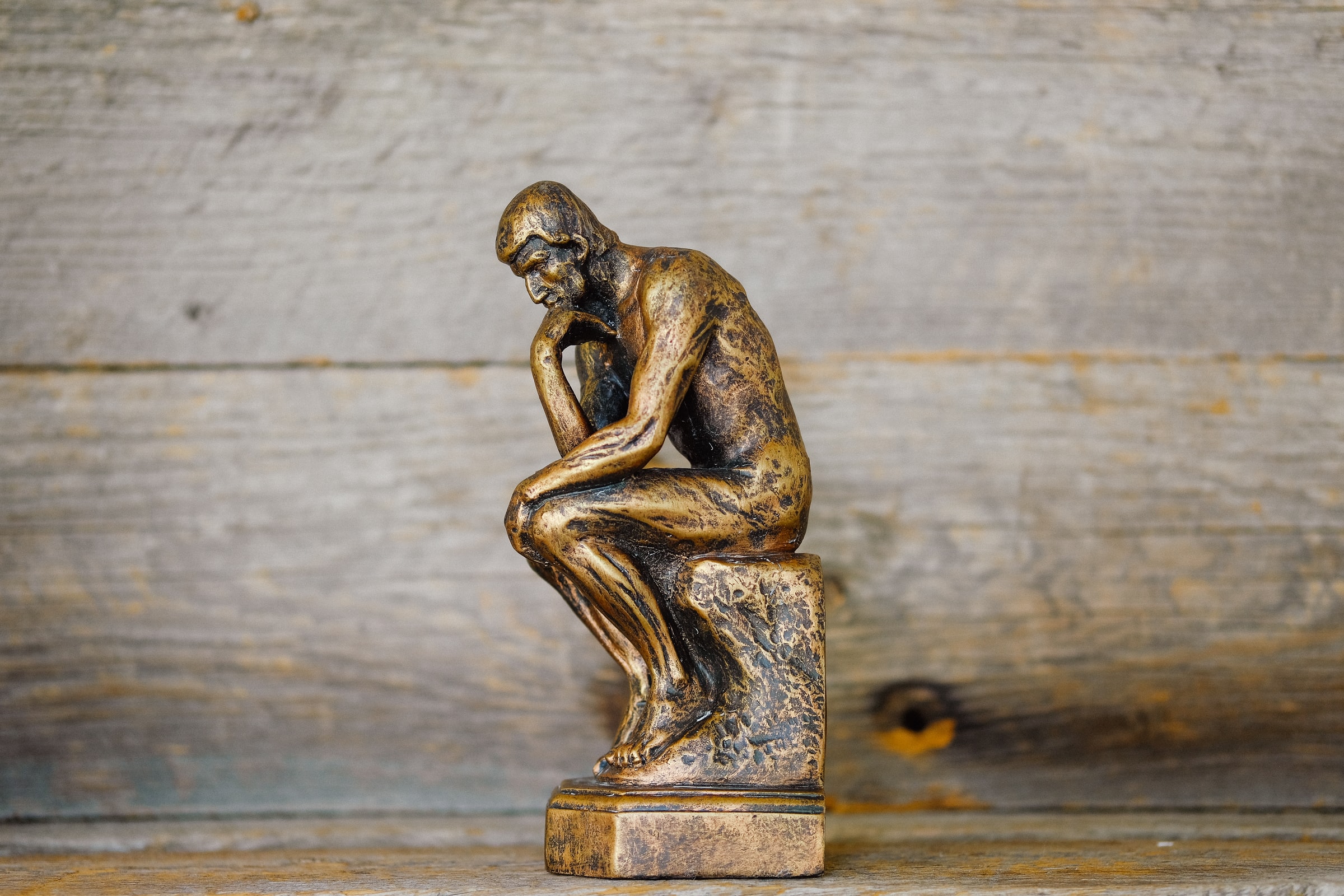 895. Why Meditating is Not About Emptying The Head But Ruminating On Ideas