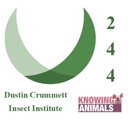 Episode 244: Insect farming with Dustin Crummett Episode 244: Insect farming with Dustin Crummett