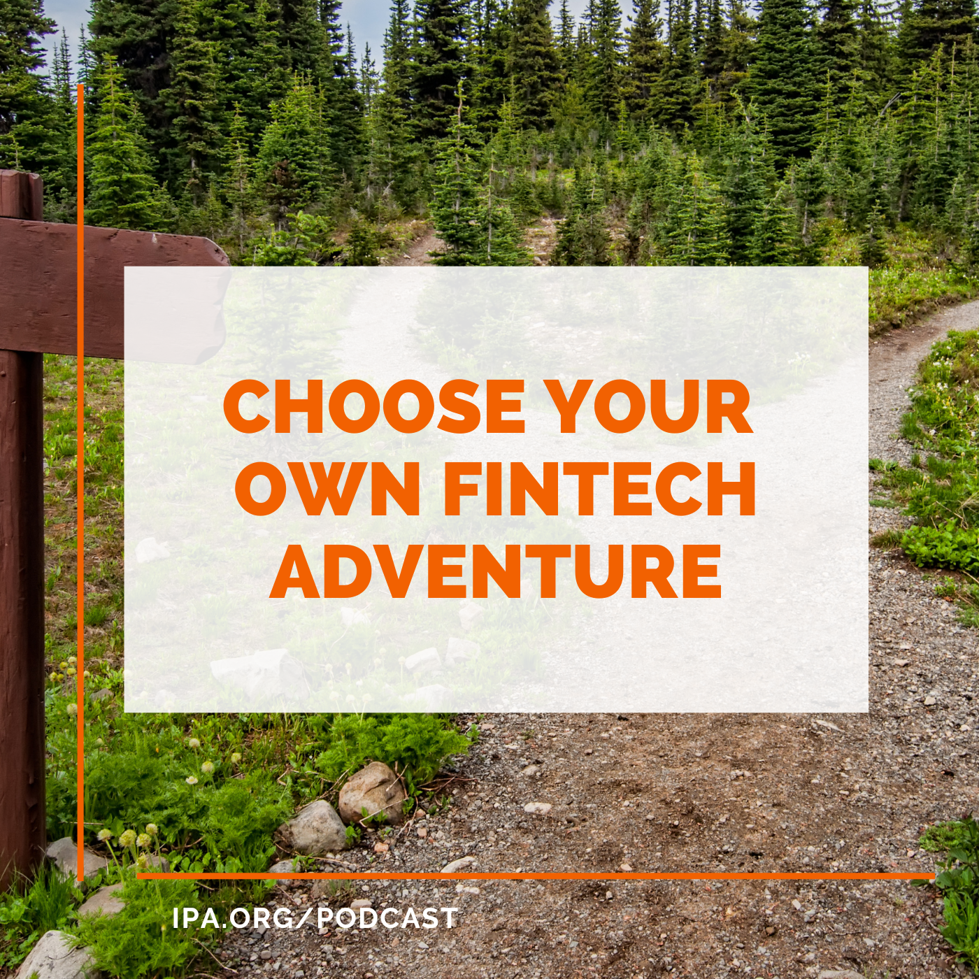 Choose Your Own Fintech Adventure