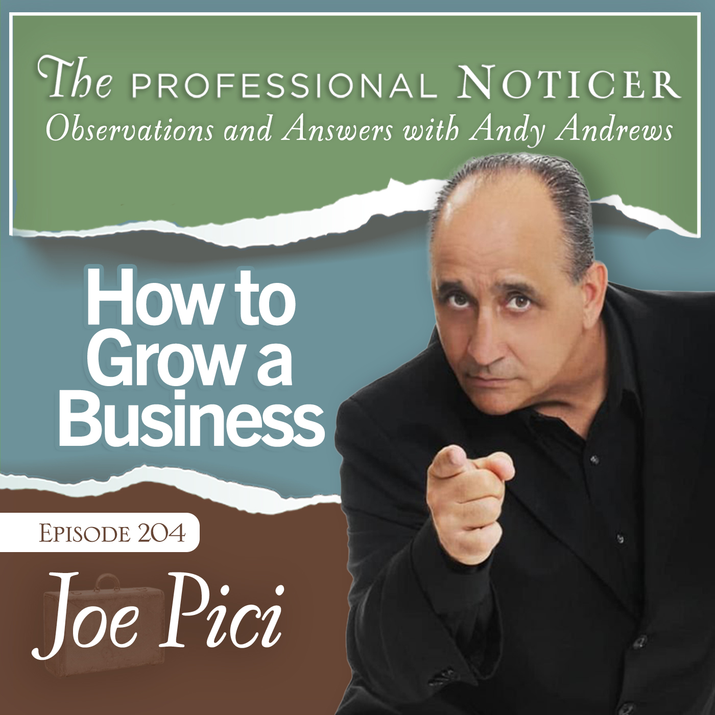 The Professional Noticer