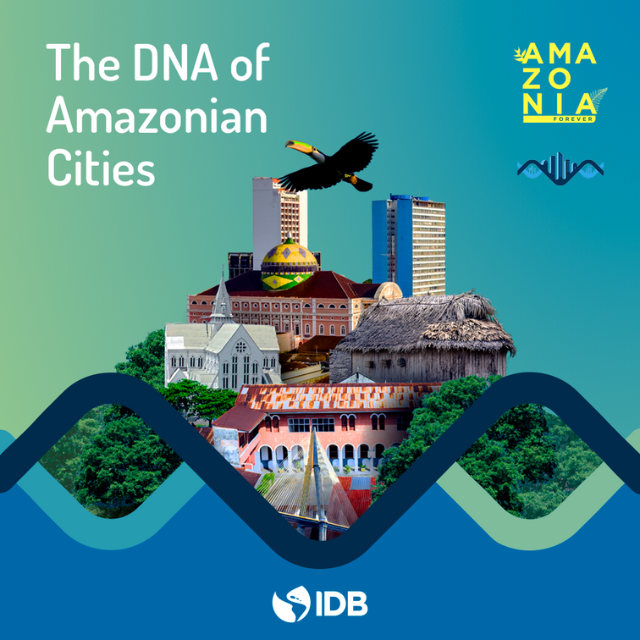 The DNA of Cities