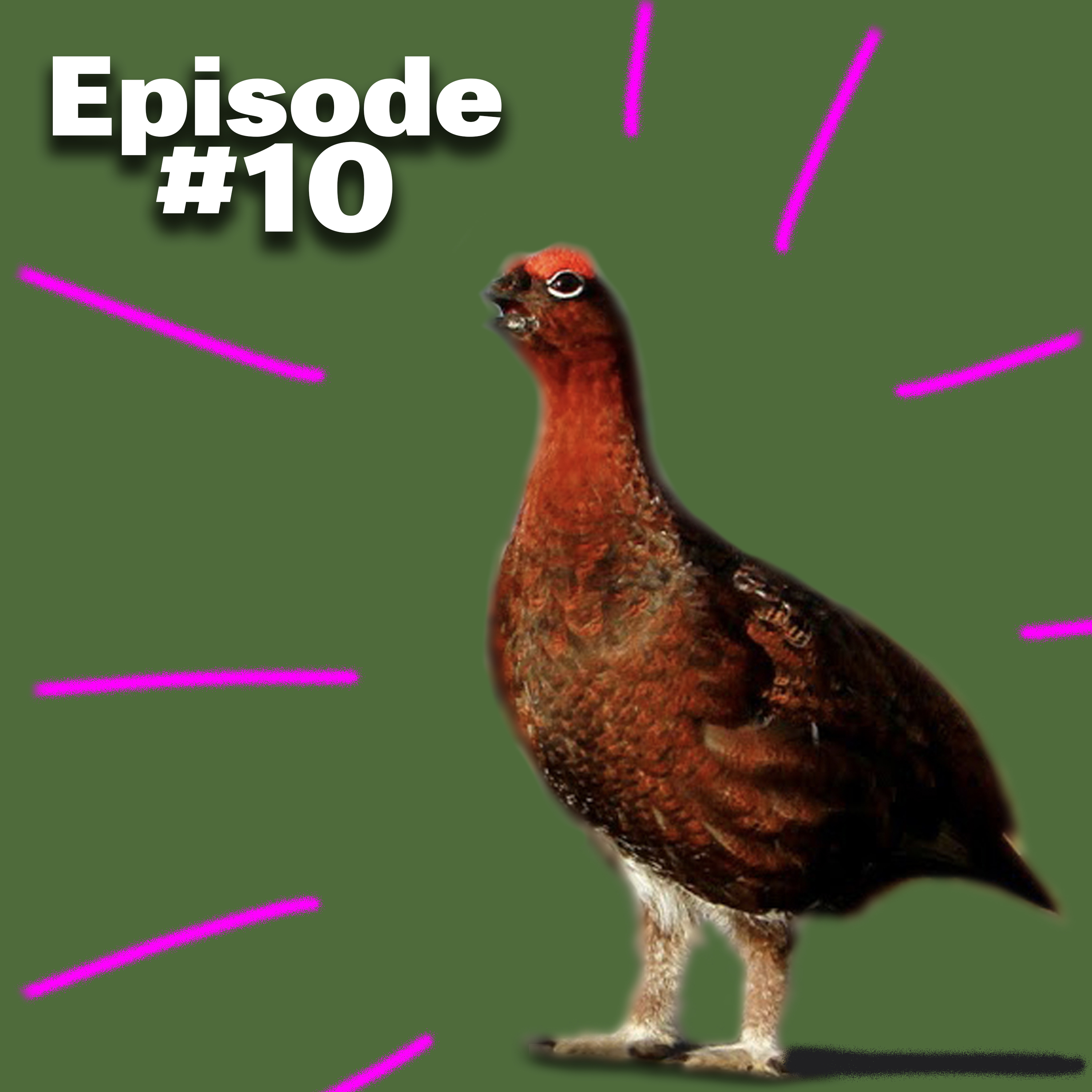 FieldsportsChannel\'s Podcast
