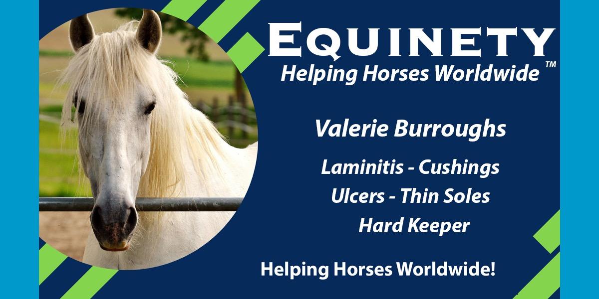 Team Equinety Podcast
