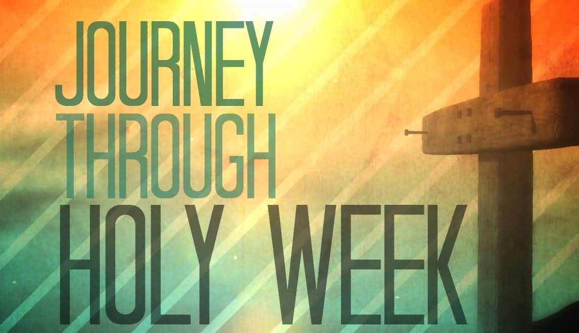 Growing Under the Word