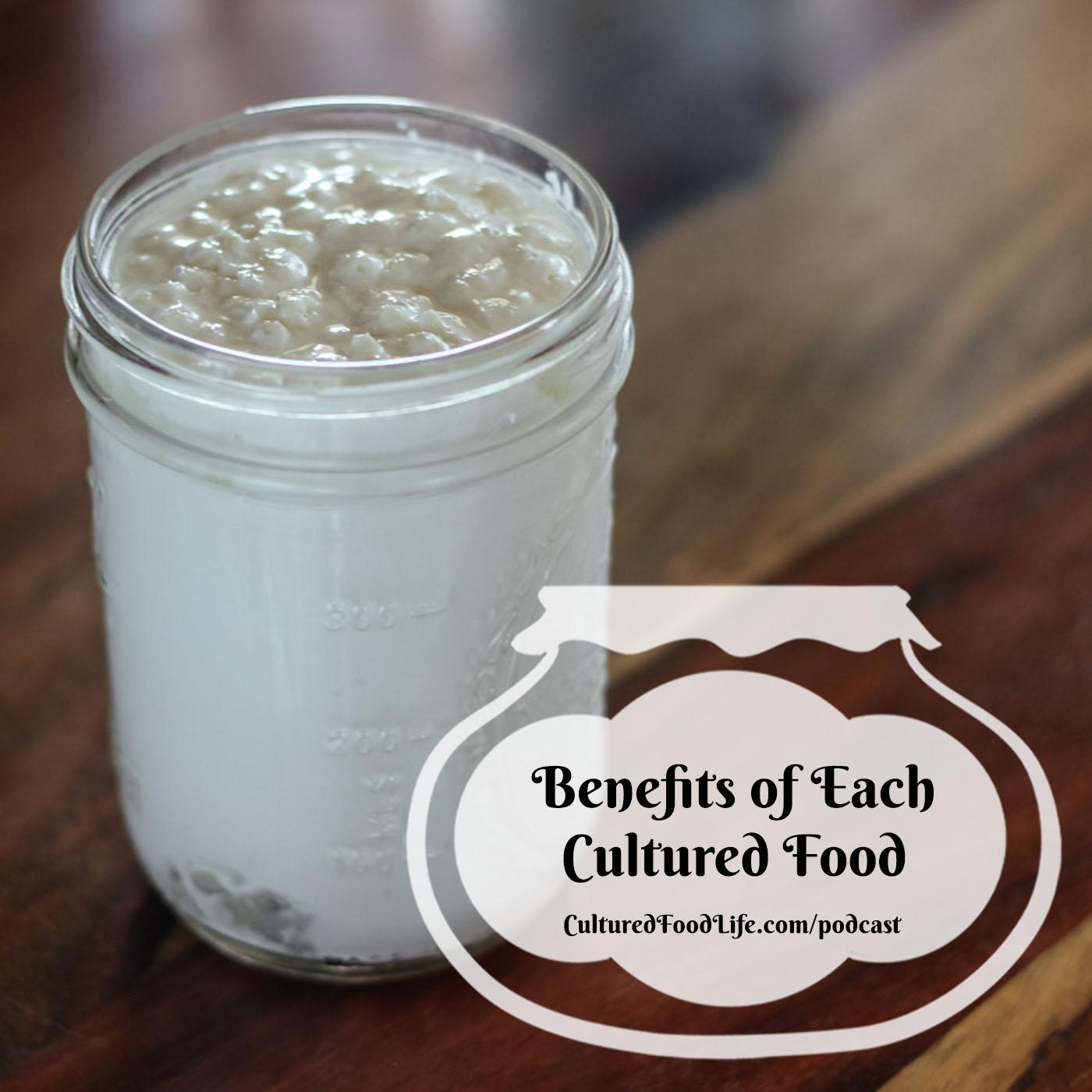 Episode 323: Benefits of Each Cultured Food