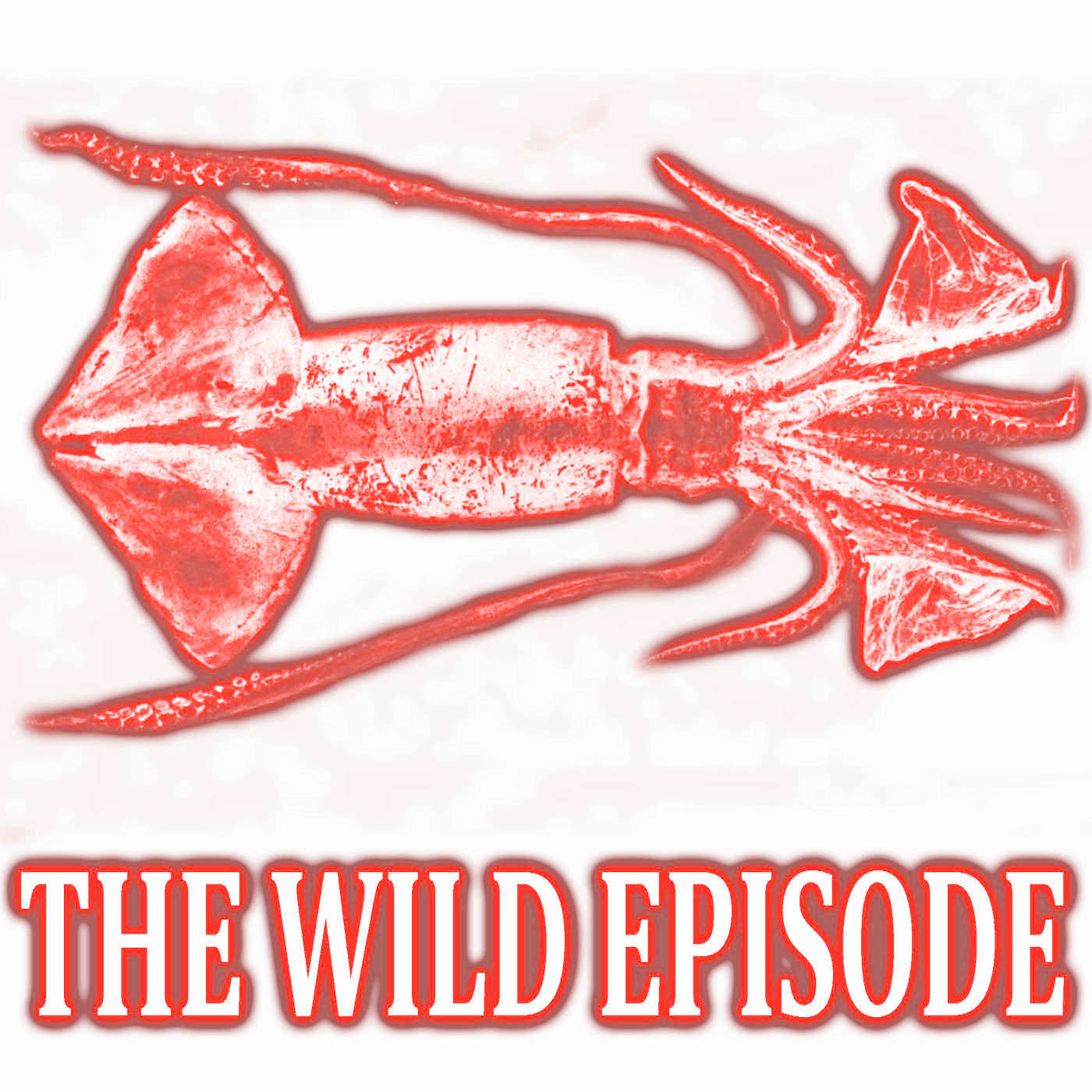 The Wild Episode