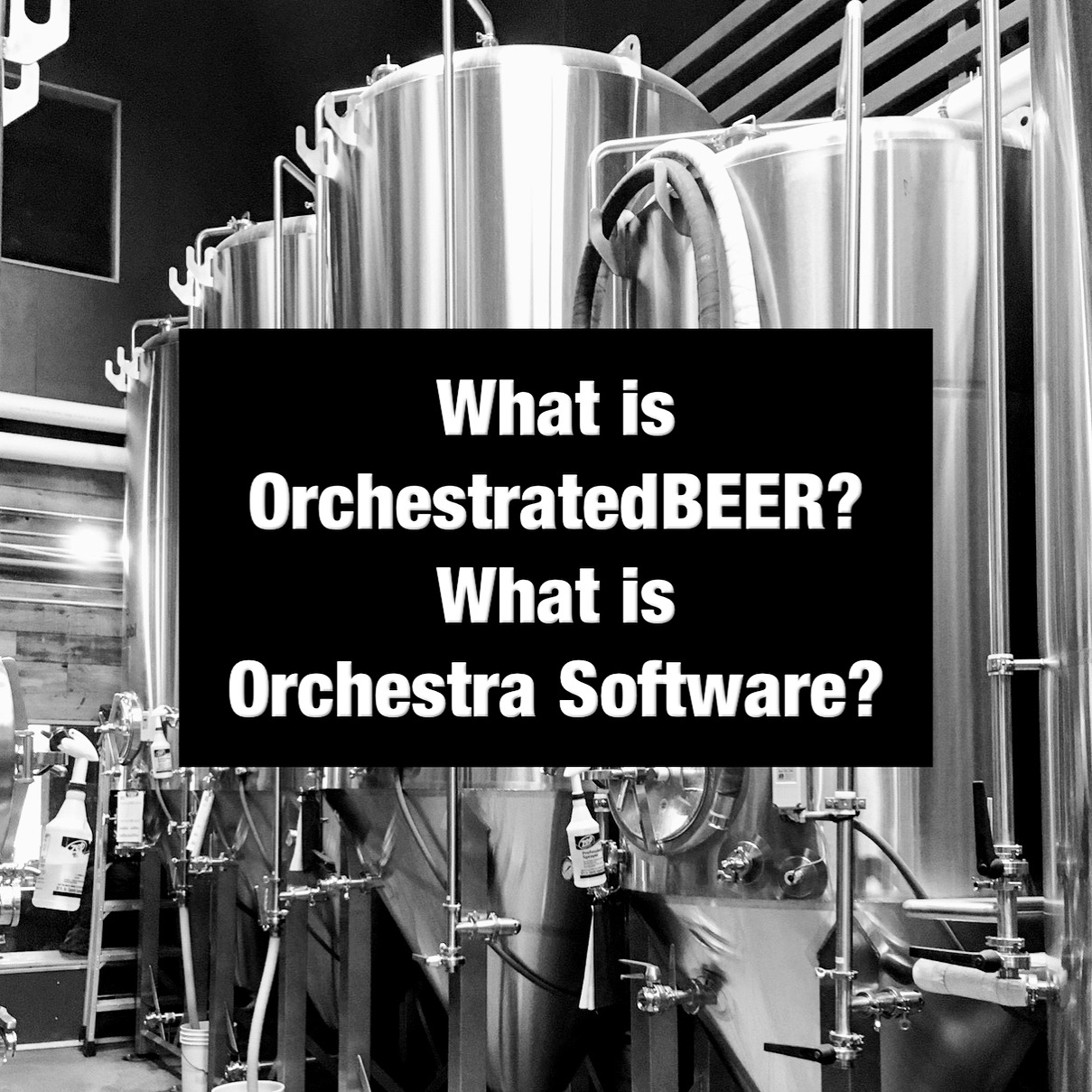 The Craft Beer Podcast