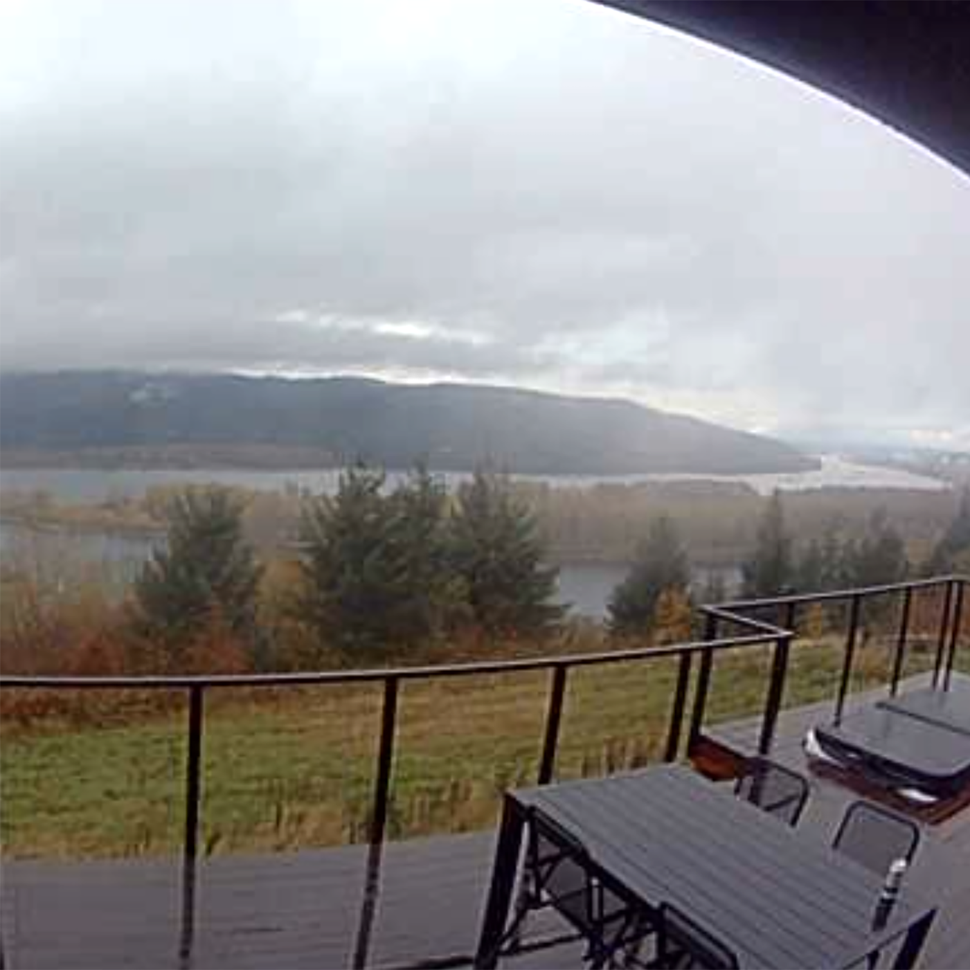 #4615 Grills Just Want To Have Fun