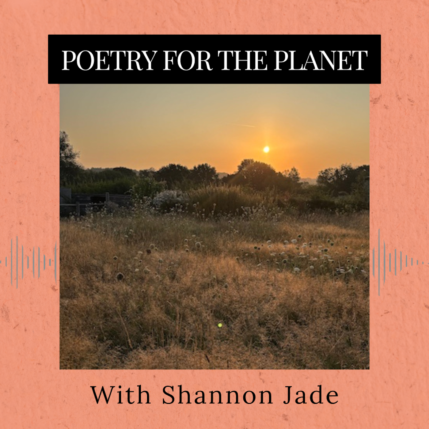 Roots and All - Gardening Podcast